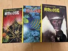 小学館入門百科シリーズ 大冒険山入門 大冒険海入門 2冊セット - メルカリ