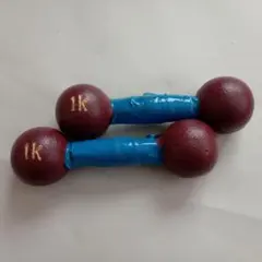 【美品】鉄アレイ 1kg × 2個セット 筋トレ・自宅トレーニングのサムネイル