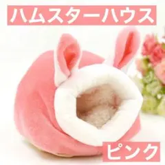 ハムスター ハウス 冬 あったか 小動物 兎 クリスマス かわいい おうちがた0のサムネイル
