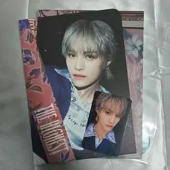 WayV ヤンヤン the highest CD トレカ