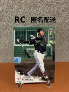 Item thumbnail for item 31a6e9ca-6d33-413b-a30f-06cbc72b9b9b