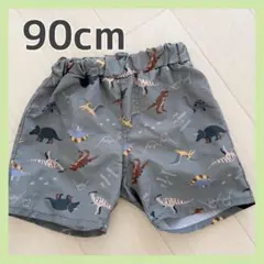 恐竜柄 水着パンツ 90cm 男の子 キッズ グレー スイムパンツ 海 プール