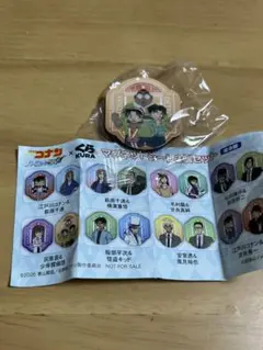 名探偵コナン くら寿司 マグネットシート 2個セット 灰原哀 少年探偵団