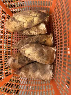 ちゃこ様専用ページです。お申し込みされてない方のお買い上げはご遠慮願います。