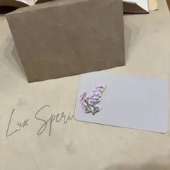 メッセージカード　ミニ封筒付　スターチス　押し花　装飾　※送料無料