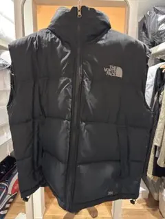 THE NORTH FACE SUMMIT SERIES ダウンベスト Sのサムネイル