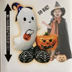 Item thumbnail for item 0333a55b-42e3-4d98-906d-13bf316db1ce