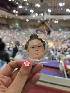 大相撲 ヘアピン