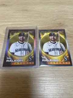 Item thumbnail for item fb790287-6ccd-4225-8d9c-6b4e741406ab