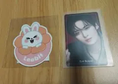 Straykids スキズ リノ リービット skzoo クリスマス POPUP