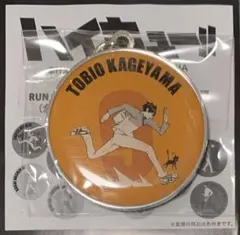 ロックマンエグゼ 炎山 ブルース アクリルスタンド BIG缶バッジ - メルカリ
