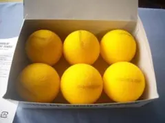 2025年最新】硬式テニスボールの人気アイテム - メルカリ