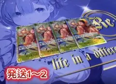 モンキーDルフィ st13-015