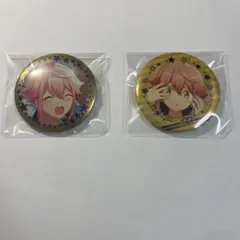 あんさんぶるスターズ 姫宮桃李　缶バッジ 2点セット