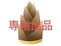 みぃこ様専用　静岡県産たけのこ 初物Mサイズ 12個　4000g以上