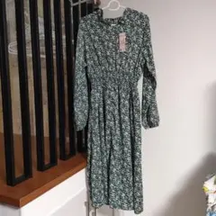 Item thumbnail for item e36d5013-c8b0-4543-9640-b462a73493ce