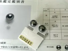 年末セールk18yg18金黒蝶真珠ピアス 厚巻き良質ナチュラルカラー