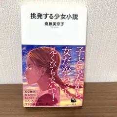 挑発する少女小説