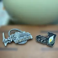 Item thumbnail for item c30ed743-3c80-42b9-a864-d31b88f10087