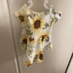 Item thumbnail for item 090405cb-84bc-49e9-8da2-c4638cb2c028