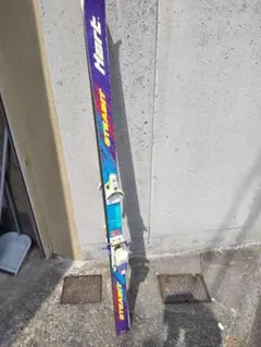 Item thumbnail for item 170e303d-931b-4db9-8c31-aba5af66a7cb