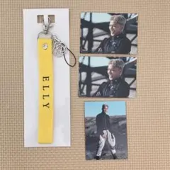 STARS マルチストラップ フォトカード ELLYセット②