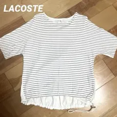 LACOSTE ラコステ ボーダー カットソー ホワイト 36 裾ドロストのサムネイル