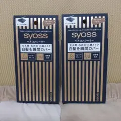 syoss サイオス ヘアコンシーラー ナチュラルブラウン 自然な茶色 × 2箱のサムネイル
