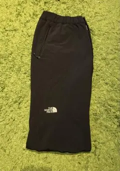 ◼︎THE NORTH FACE アルパインライトパンツ L
