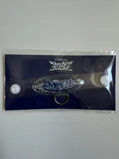 NCT DREAM ドリショ4 fanlight accessory MARK