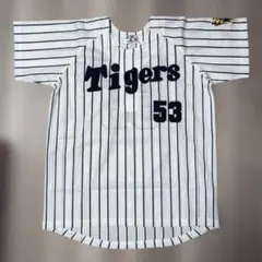 Item thumbnail for item 6eba74e5-10d6-4f6f-98ef-500e2898367e