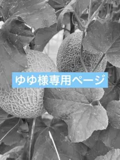 ゆゆ様　専用ページ