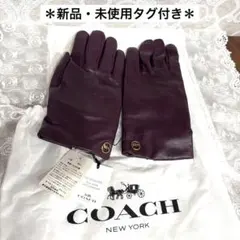 新品・未使用】コーチ レザー手袋 ニット カフ ミックスド グローブ