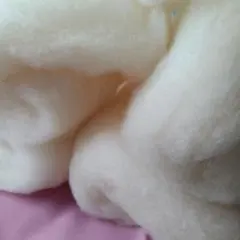 Item thumbnail for item a3082700-e1b9-440e-82f0-d88c5e3e43e5