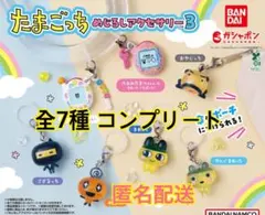 【新品未開封】たまごっち　めじるしアクセサリー3 コンプリート