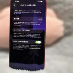 Apple iPhone13 256GB