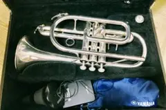 Item thumbnail for item 27f1b8bb-28a5-45b4-8a7f-4293360a7672