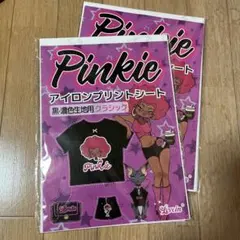 Pinkie 다림질 인쇄 시트 흑・농색 원단용 클래식 10장들이×2