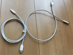 TypeC→Lightningケーブル 変換ケーブル　2本セット ELECOM