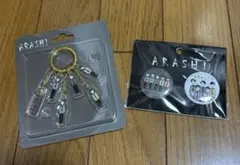 ARASHI 嵐を旅する展覧会　アクリルキーチェーン＆缶バッジ　イラストC