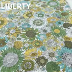 Item thumbnail for item 7ddb007f-f17a-4faa-a221-5872c0724761