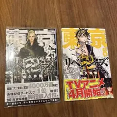 Item thumbnail for item a186d034-302e-43e7-b547-f3d719b37fb0