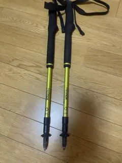 Item thumbnail for item 4e8afa0c-e4e6-49f7-97ff-9b9c8a0b70ed