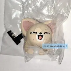 アイエン フォクシニー SKZOOリング