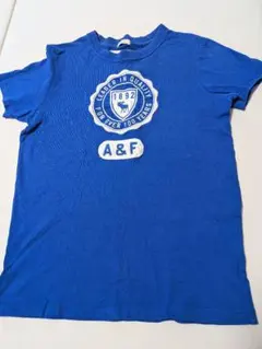 Abercrombie & Fitch マッスルフィット Tシャツ S