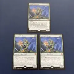 MTG 変わり樹の共生 英語版 4枚セット - メルカリ