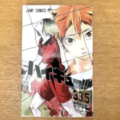 ハイキュー!! 33.5 特別編