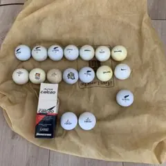 Bridgestone ALTUS CALCAD ゴルフボールとロストボール