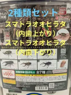 まいまい★プロフ重要必読★無言取引NG★様 リクエスト 2点 まとめ商品