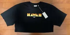 KITH HAWAII BLOCK LOGO TEE ブラック XXLのサムネイル